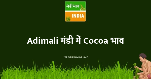 Cocoa भाव