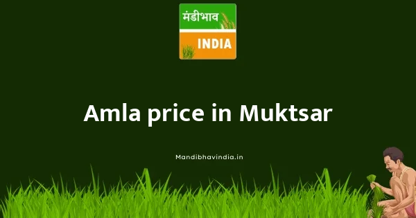 Amla price