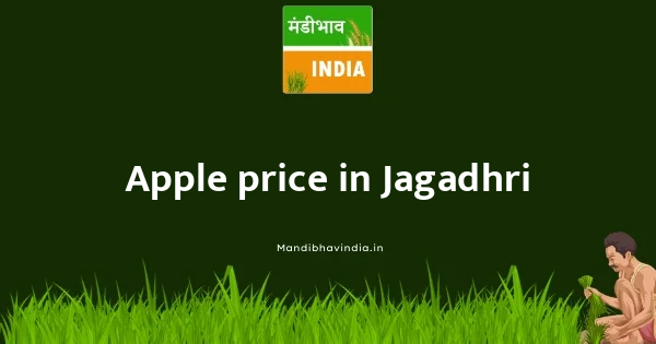 Apple price