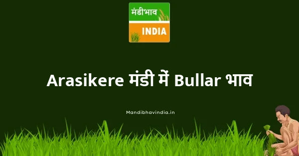 Bullar भाव