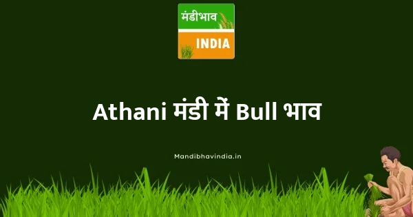 Bull भाव