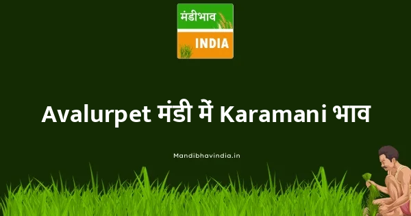 Karamani भाव