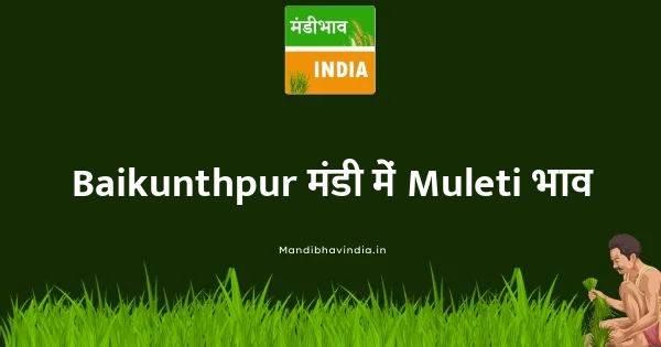 Muleti भाव