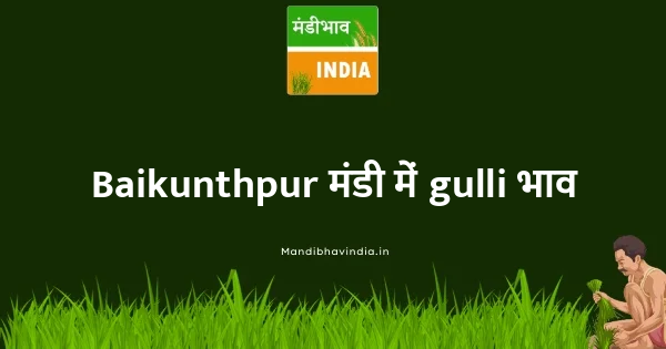 gulli भाव