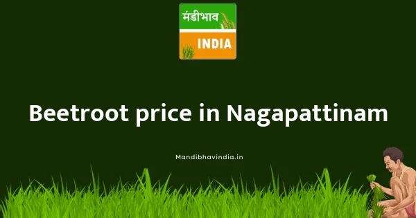 Beetroot price