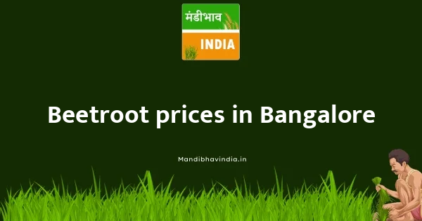 Beetroot price