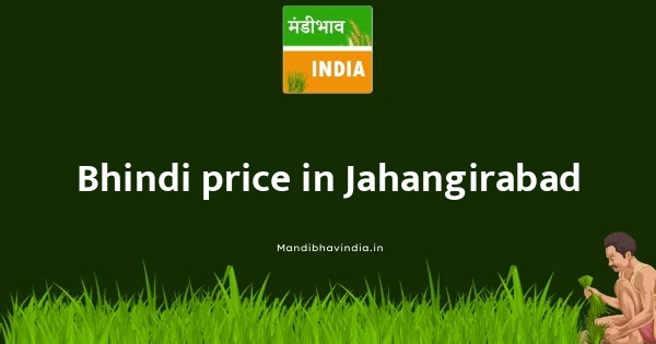 Bhindi price