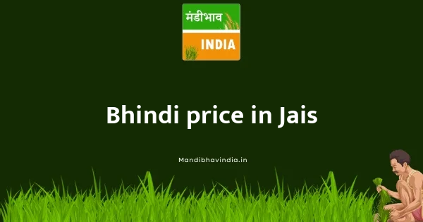 Bhindi price