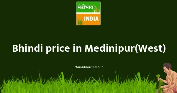 Bhindi price