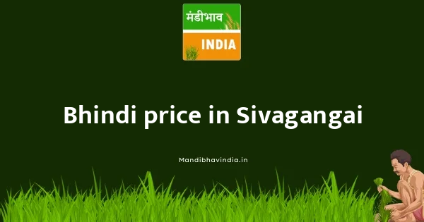 Bhindi price