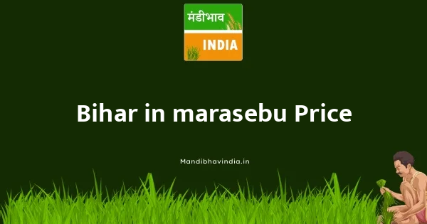marasebu भाव