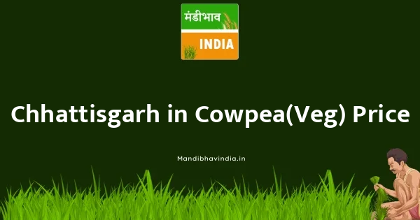 Cowpea(Veg) भाव