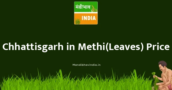 Methi(Leaves) भाव