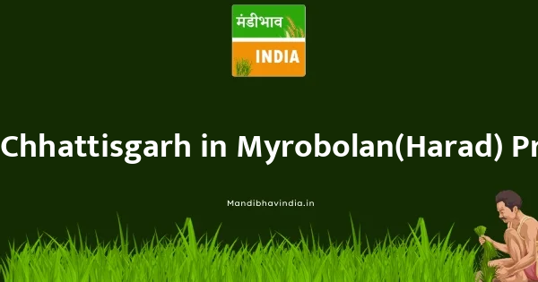 Myrobolan(Harad) भाव