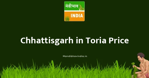 Toria भाव
