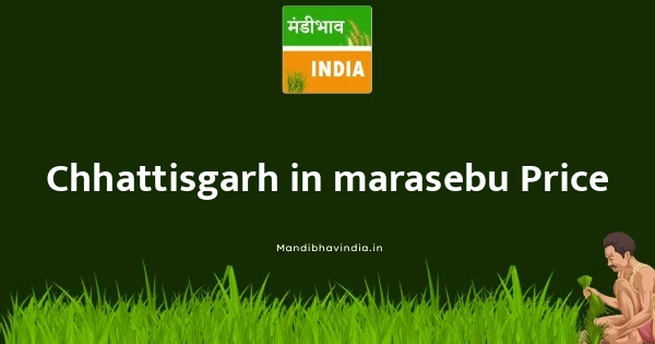 marasebu भाव