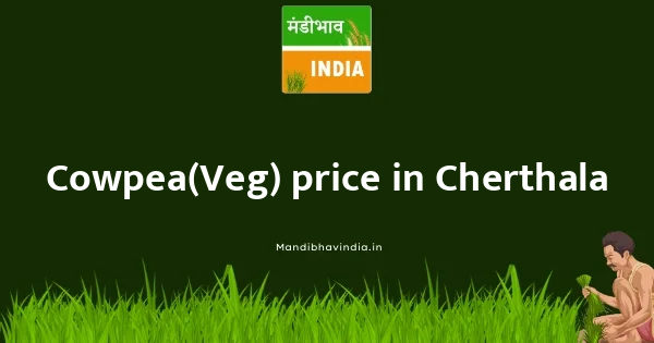 Cowpea(Veg) price