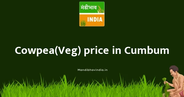 Cowpea(Veg) price