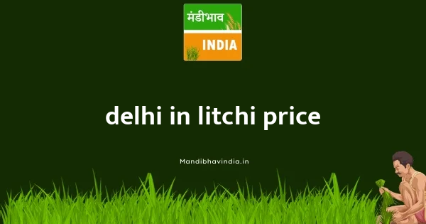 Litchi Price