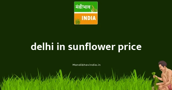 Sunflower Price