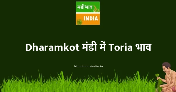 Toria भाव