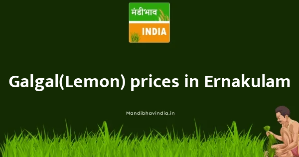 Galgal(Lemon) price