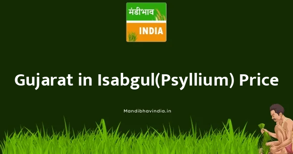 Isabgul(Psyllium) भाव