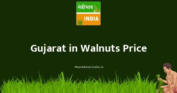 Walnuts भाव