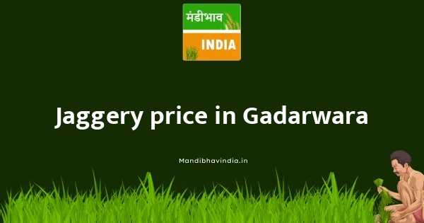 Jaggery price