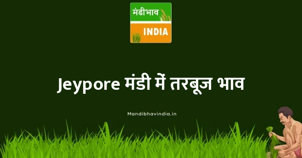 Water Melon भाव