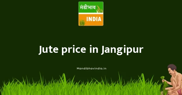 Jute price