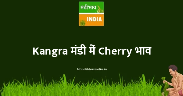 Cherry भाव