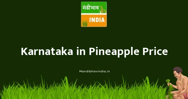 Pineapple भाव