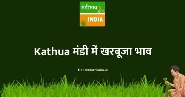 Kharbuja भाव