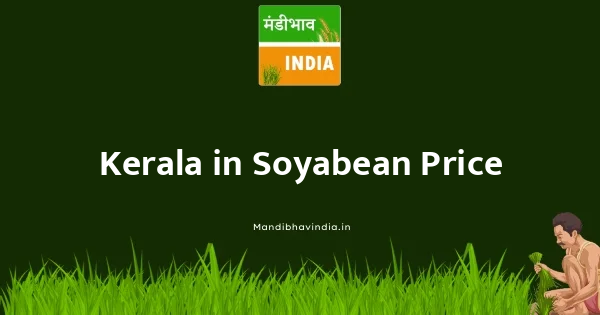 Soyabean भाव