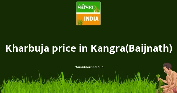 Kharbuja price