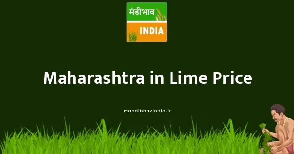 Lime भाव