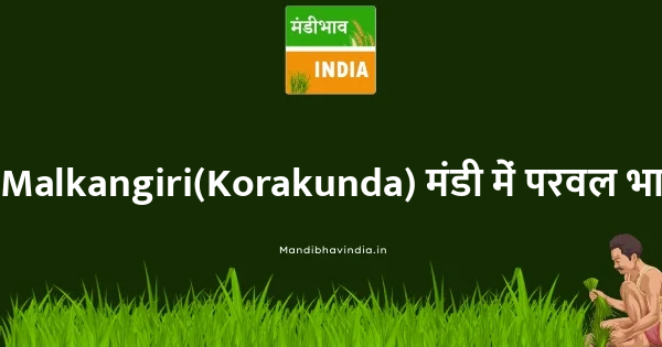 Pointed Gourd (Parval) भाव
