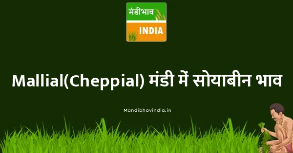 soyabean भाव