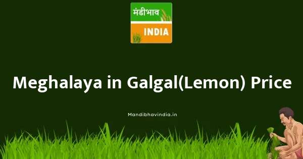 Galgal(Lemon) भाव