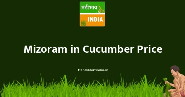 Cucumber भाव