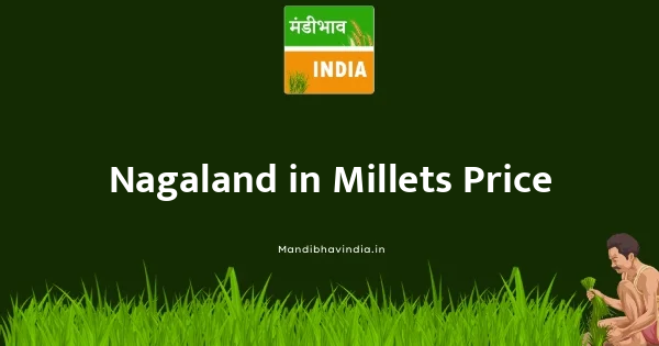 Millets भाव