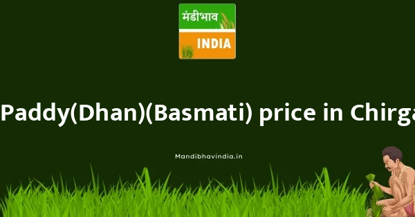 Paddy(Dhan)(Basmati) price