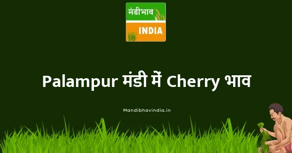 Cherry भाव