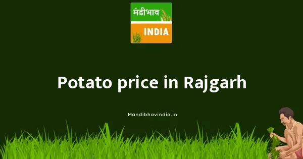 Potato price