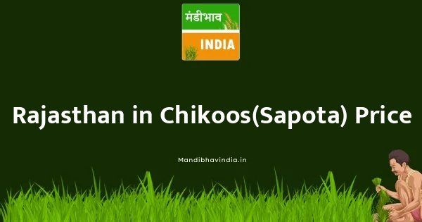 Chikoos(Sapota) भाव