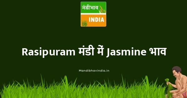 Jasmine भाव