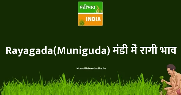 Ragi (Finger Millet) भाव