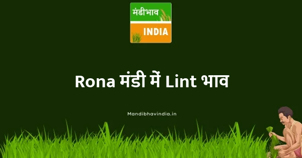 Lint भाव