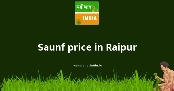 Saunf price